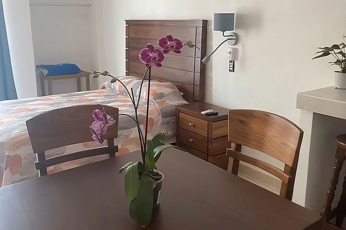 A room with a bed, a bedside table, a nightstand, a desk, a chair, a potted plant, and a wall-mounted light fixture.