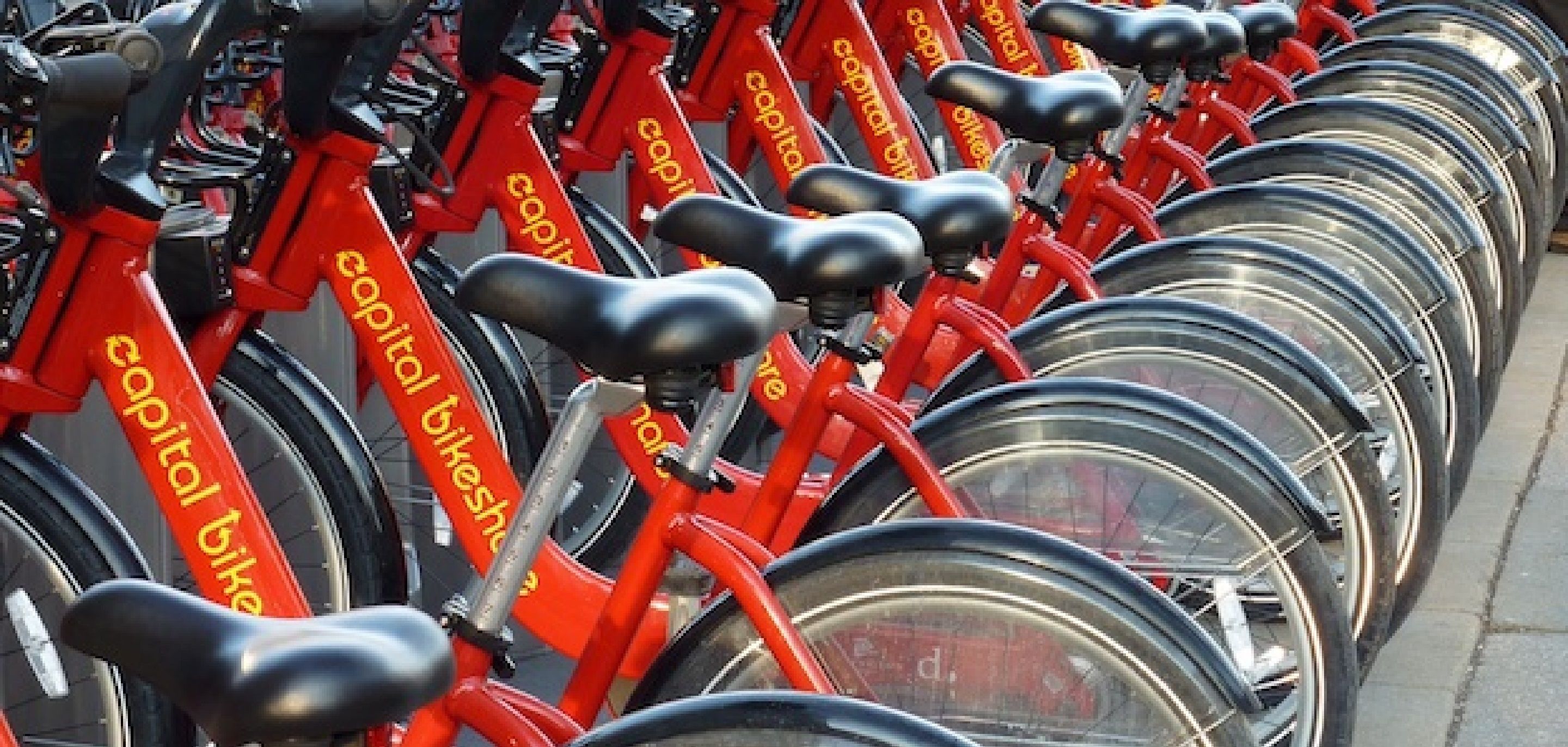 Foto - Kellogg Conference Hotel Capitol Hill At Gallaudet University