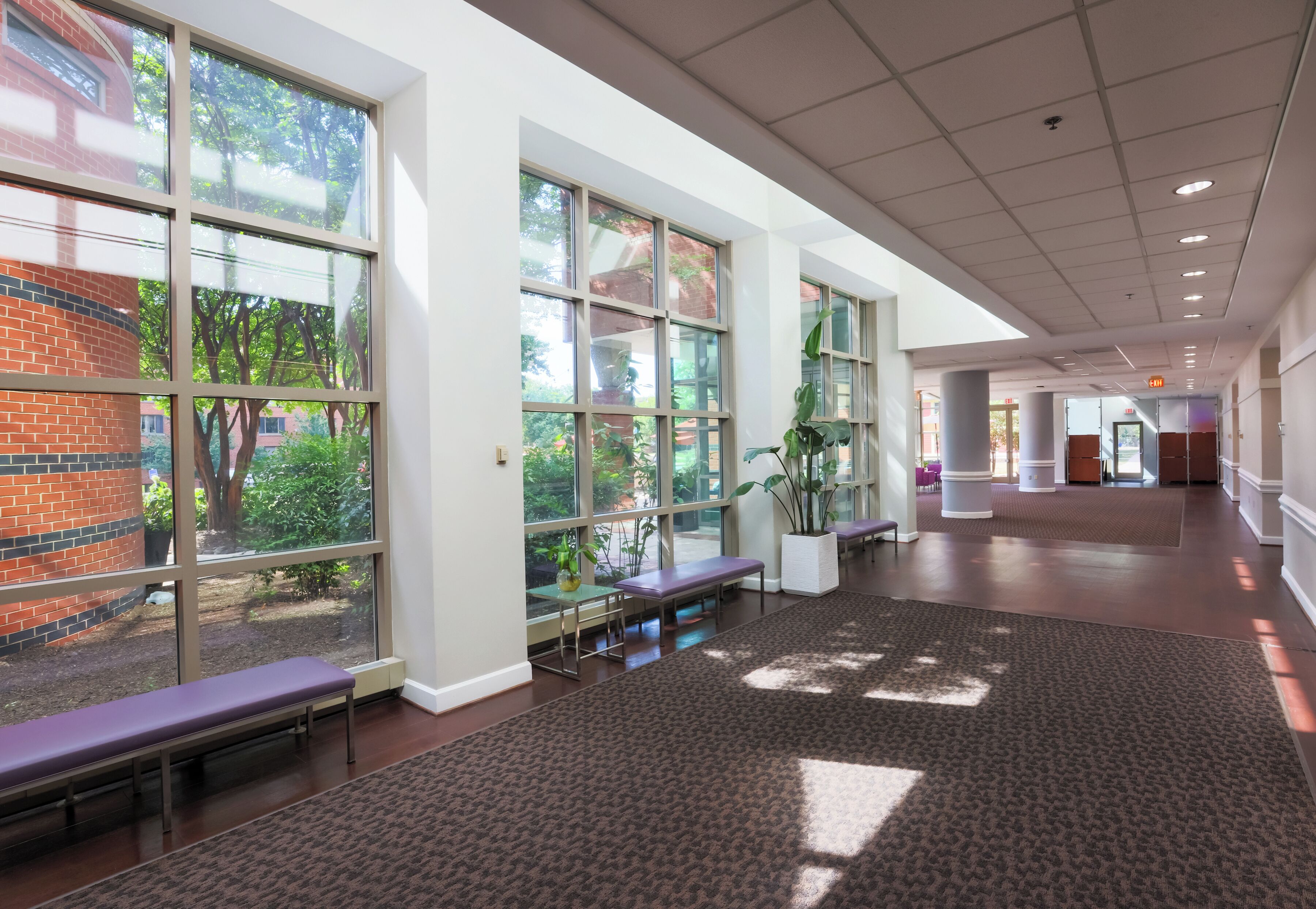 Foto - Kellogg Conference Hotel Capitol Hill At Gallaudet University