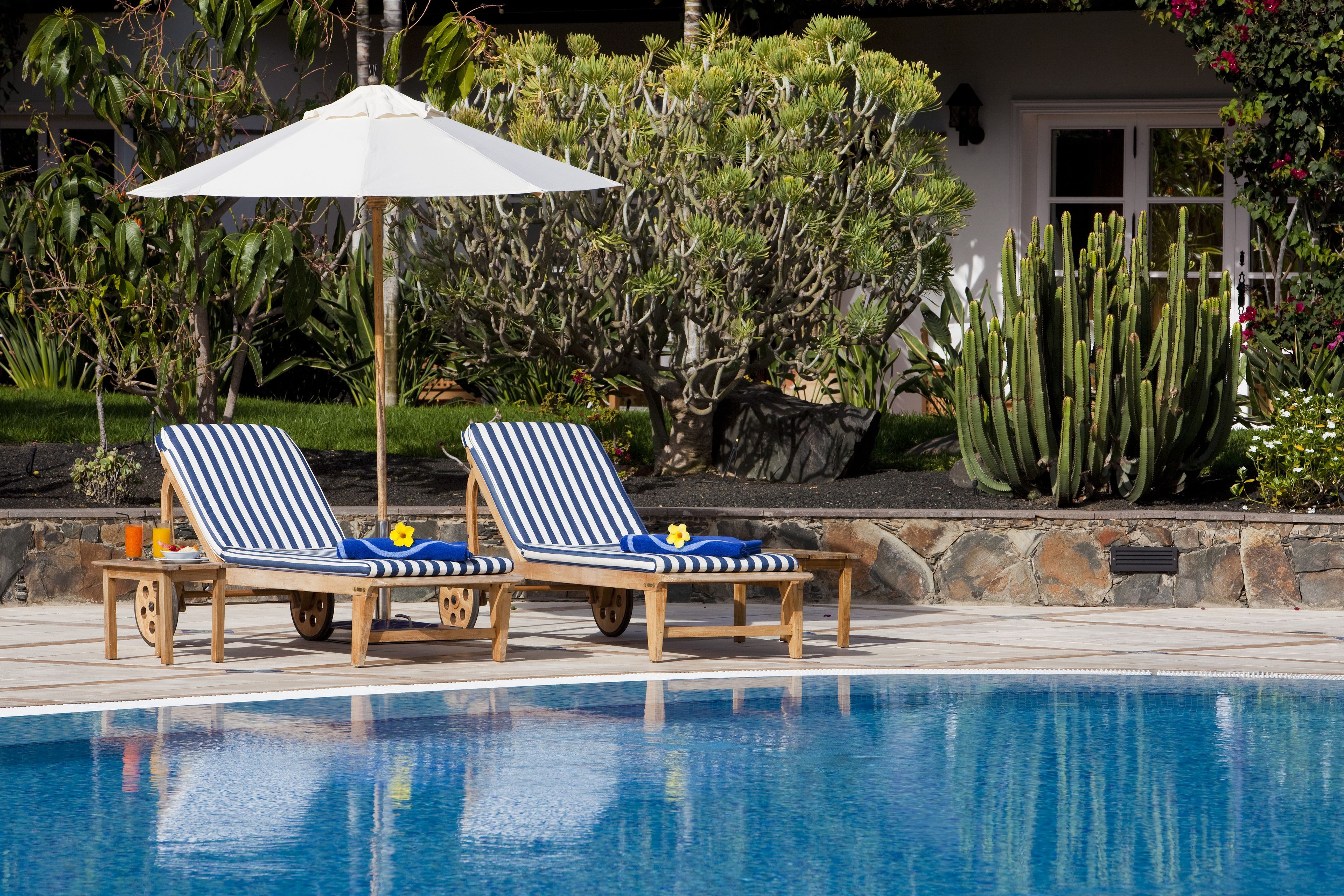 Zona de piscina con dos sillones rayados, una sombrilla blanca y diversos cactus y arbustos al fondo.