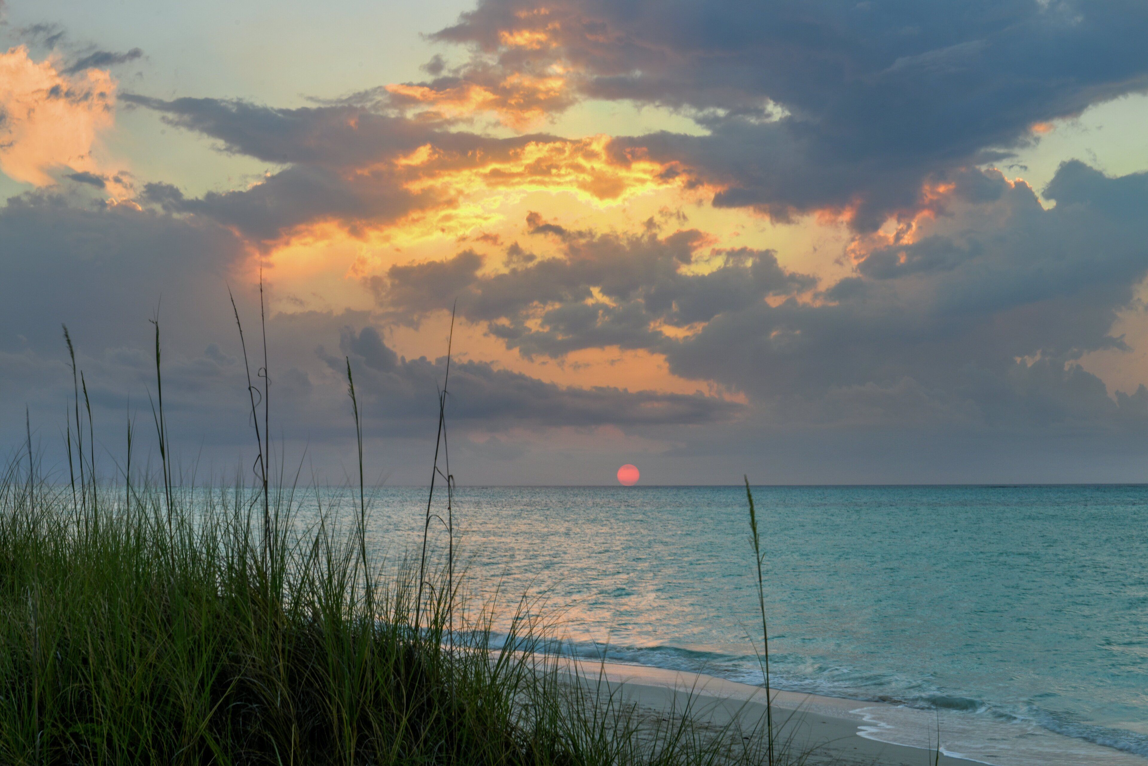 A beach with grass in the foreground and a sunset over the ocean.