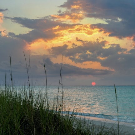 A beach with grass in the foreground and a sunset over the ocean.