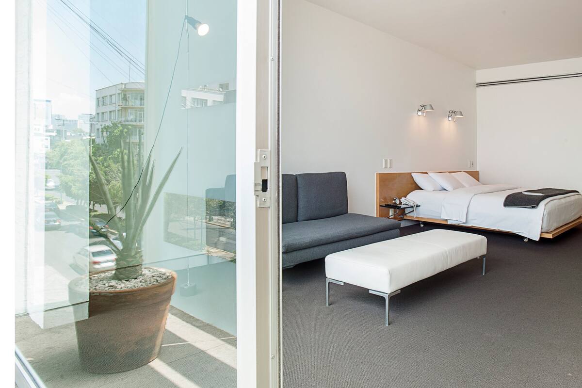 A modern hotel room with a bed, a sofa, a small table, and a potted plant.
