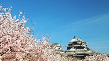 A traditional Japanese castle with multiple levels and a prominent central tower, surrounded by cherry blossom trees.