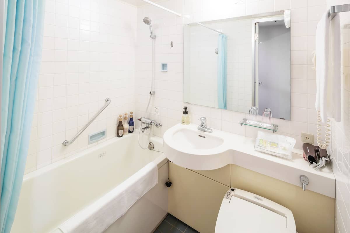 combined shower/bathtub, free toiletries, hair dryer, slippers