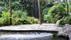 Ein Garten mit Teich, üppigem Grün und einem Kiesweg.
