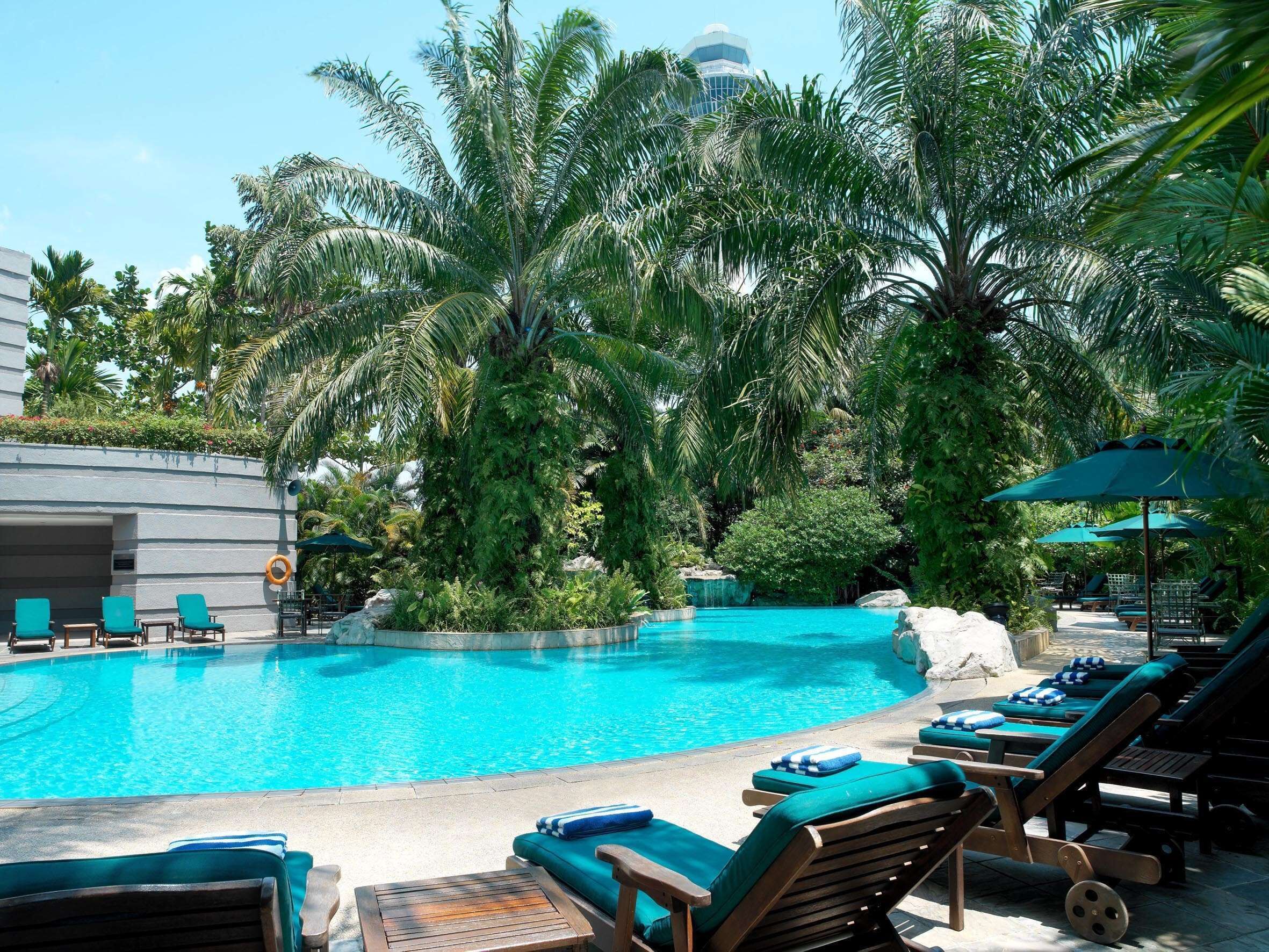 outdoor pool, pool loungers