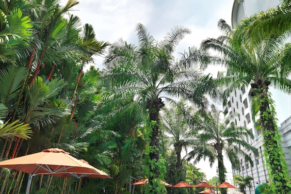 Una piscina al aire libre, sillones reclinables de piscina