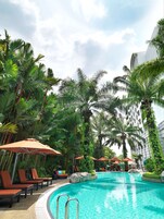 Outdoor pool, sun loungers