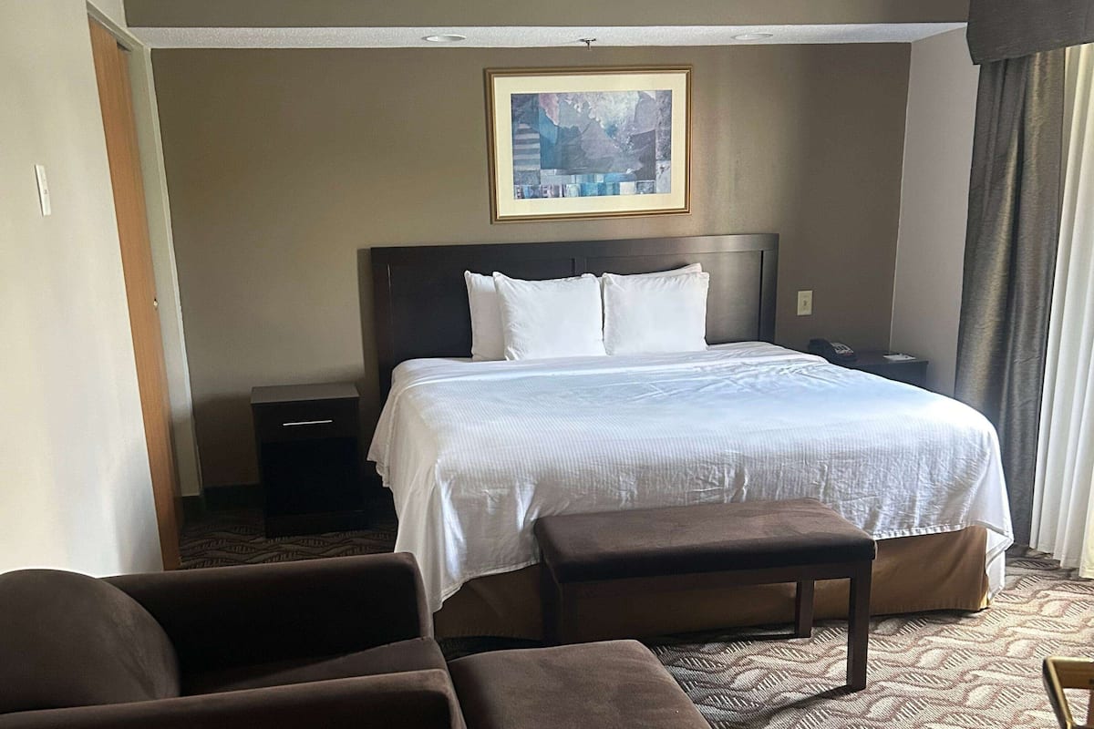 Suite, 1 King-Bett, Nichtraucher (One-Bedroom Suite) | Hochwertige Bettwaren, Bügeleisen/Bügelbrett, kostenloses WLAN