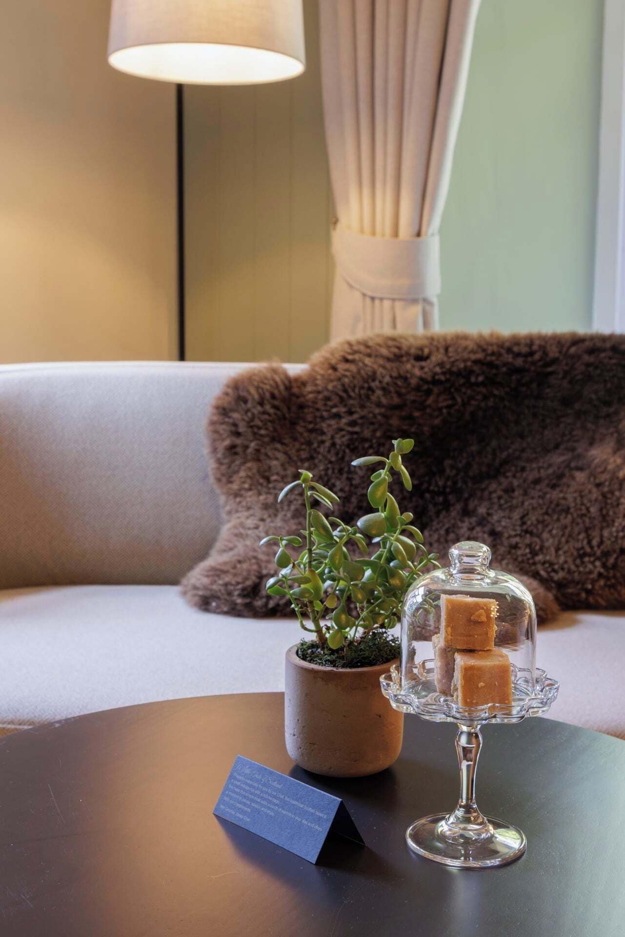 Une pièce chaleureuse avec un canapé, une petite plante en pot, une vitrine contenant une friandise et une lampe.
