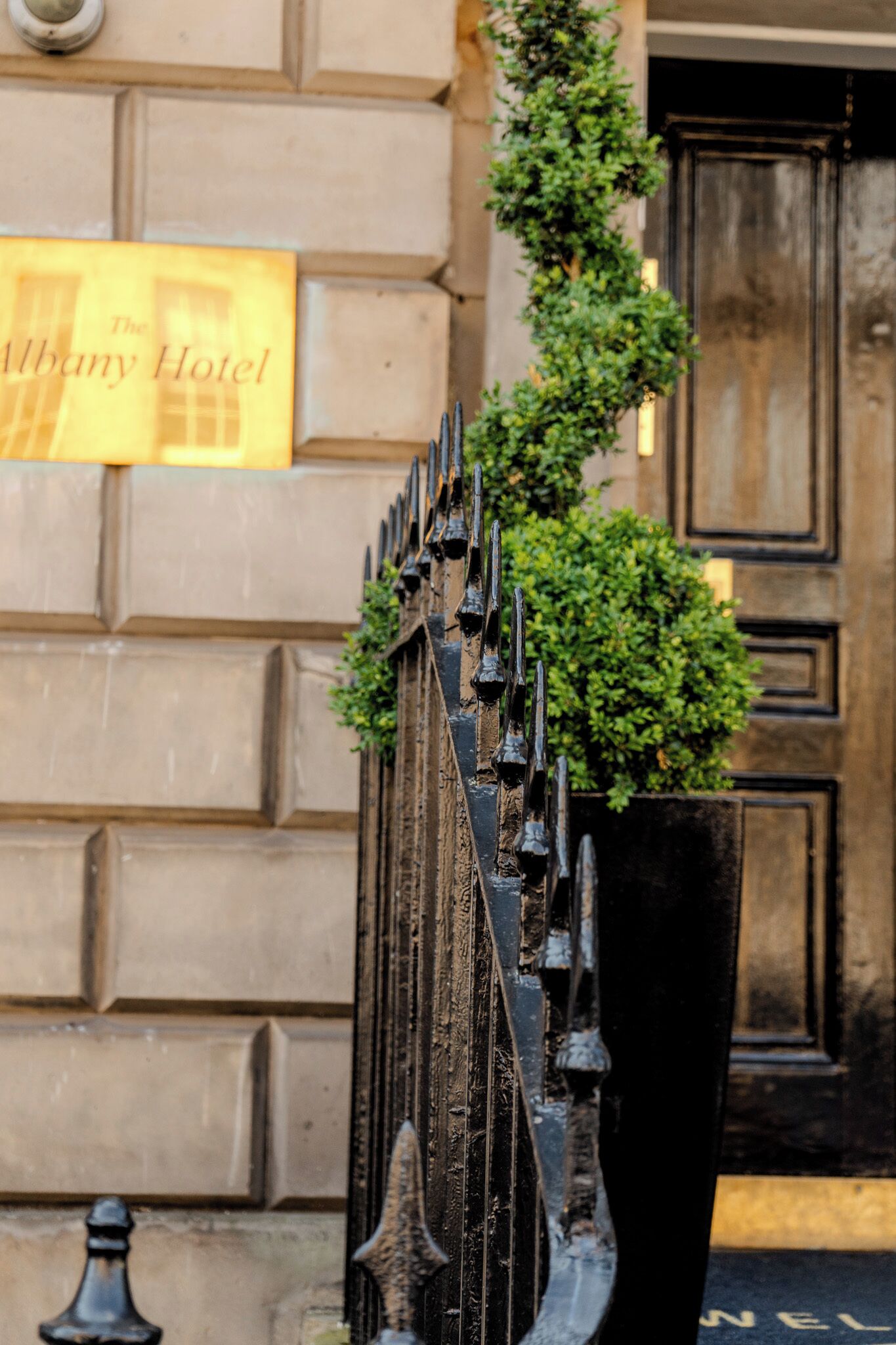 A wrought iron gate with a decorative topiary plant.