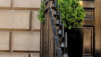 A wrought iron gate with a decorative topiary plant.