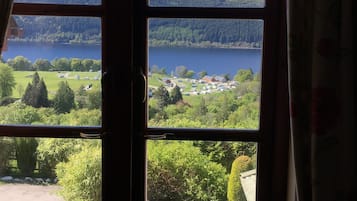 Superior Room, Lake View | View from room