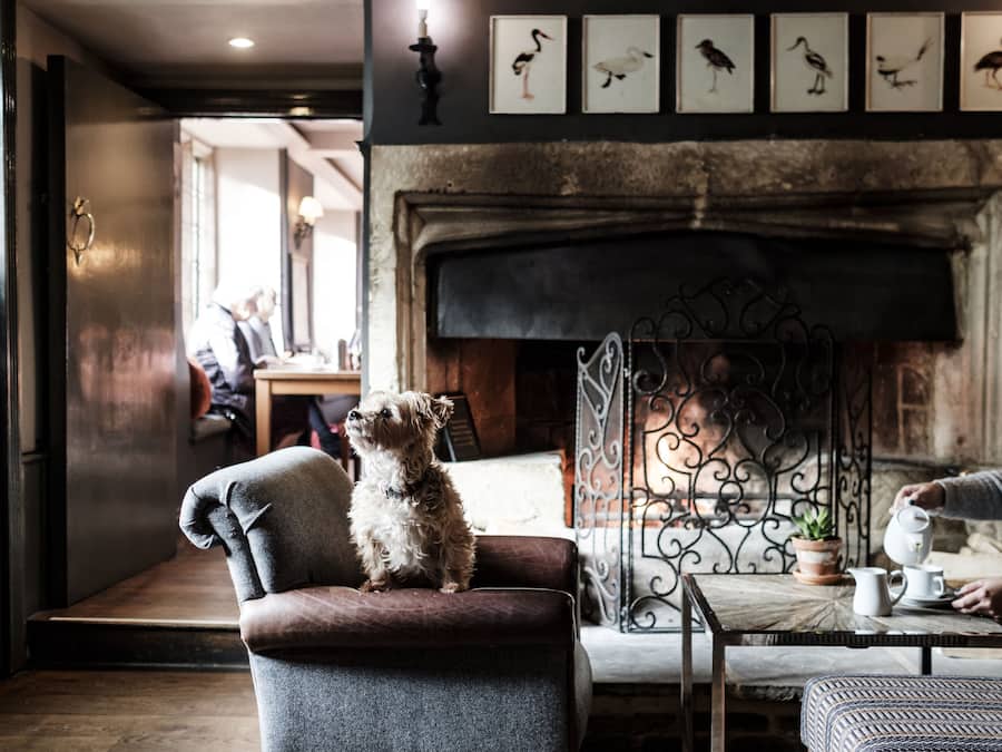 Bar (en la propiedad)