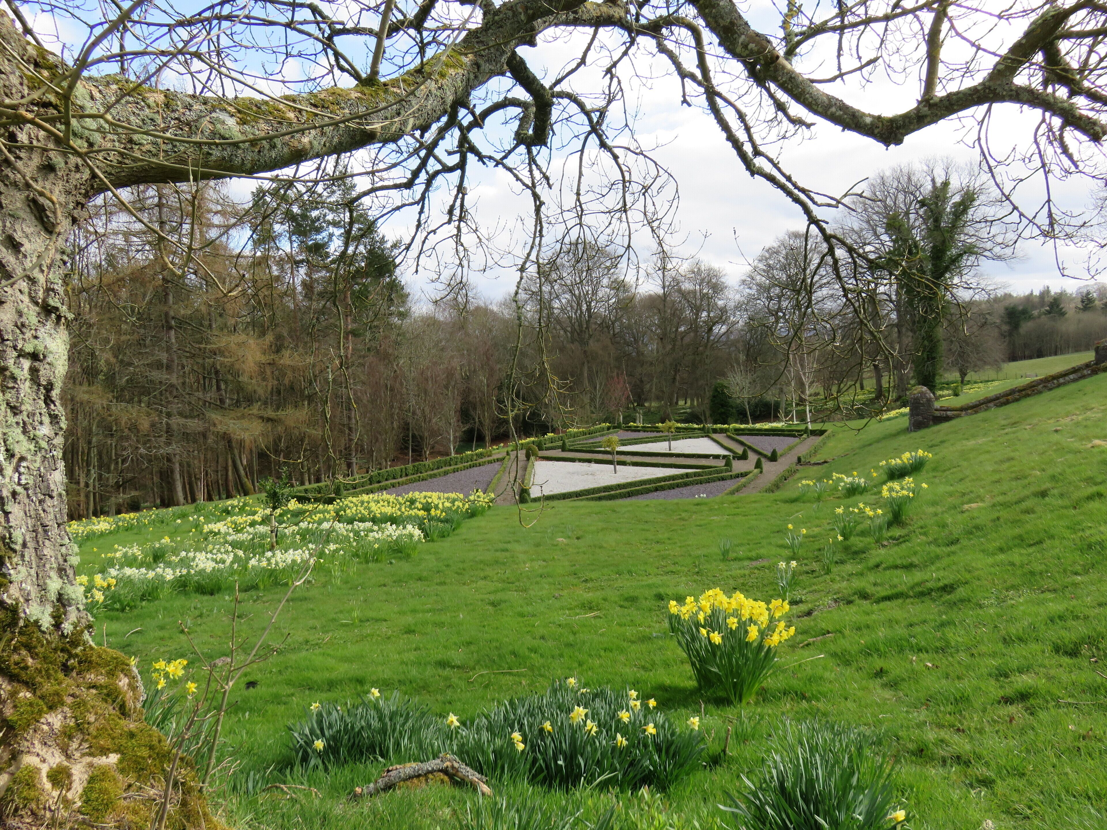 Ein angelegter Garten mit verschiedenen Blumen, einem Teich und einer Steinmauer.