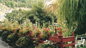 A garden with a wooden fence, potted plants, and a bench.