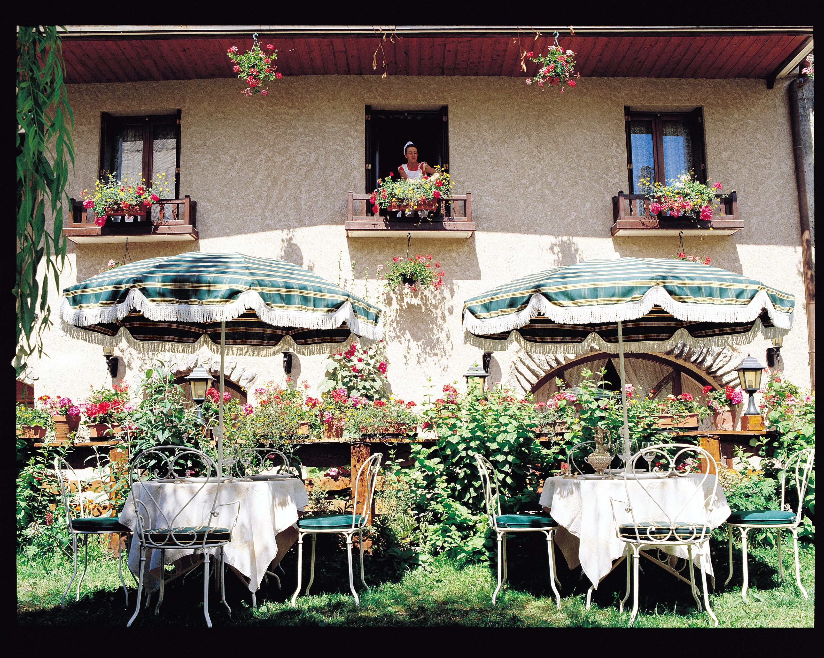 lunch and dinner served, french cuisine