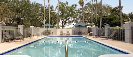 A swimming pool with lounge chairs and umbrellas, surrounded by palm trees and a fence.