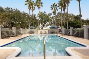 Une piscine entourée de palmiers et d’une clôture, avec des chaises longues et des parasols.