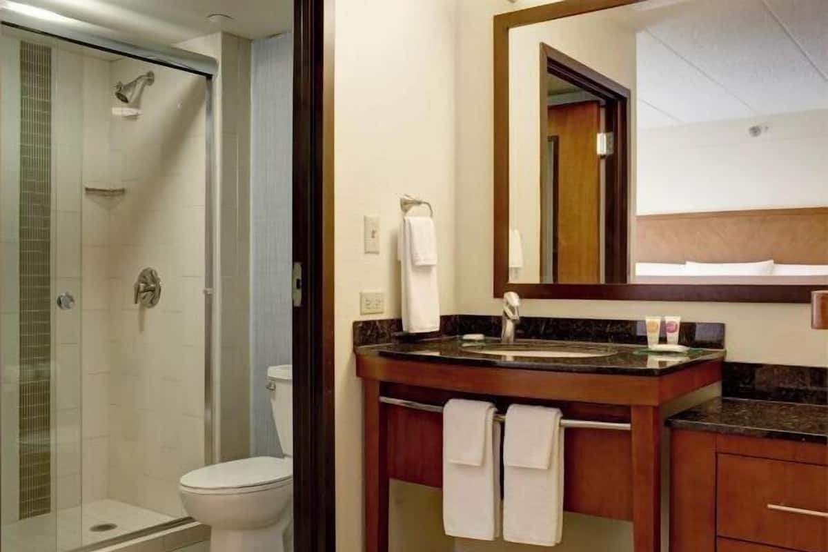 Shower, designer toiletries, hair dryer, towels