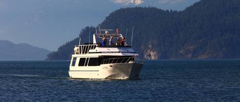 Un bateau portant l’inscription « Scenic Boat Cruises » sur le côté, naviguant sur l’eau avec des montagnes en arrière-plan.