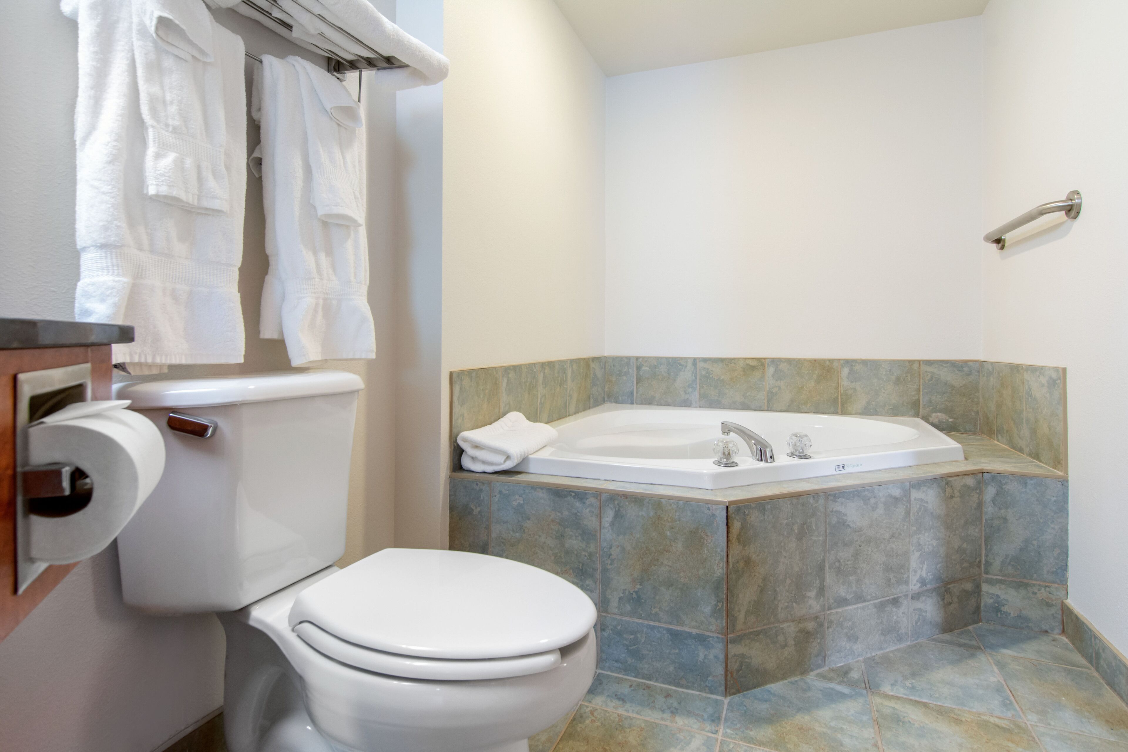 suite, 1 queen bed with sofa bed, non smoking | bathroom | free toiletries, hair dryer, towels