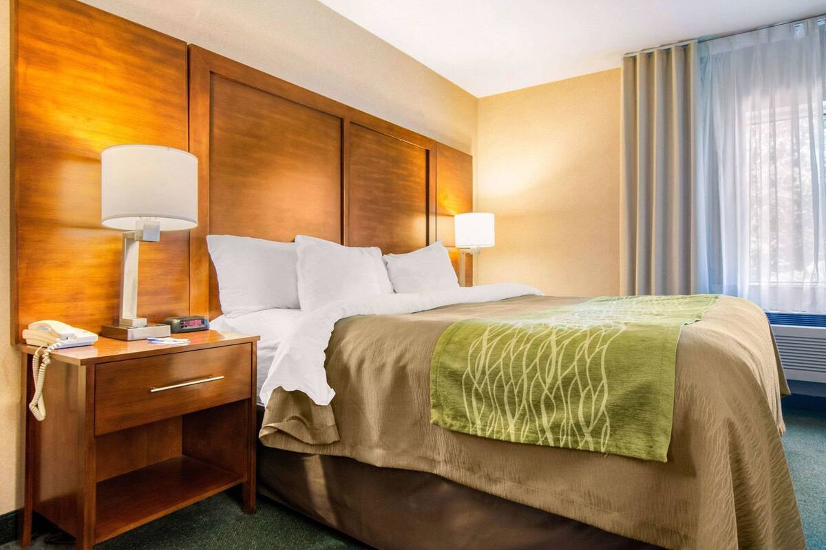 A hotel room with a wooden headboard, a bed with white bedding, a green throw blanket, a bedside table with a lamp, and a phone.