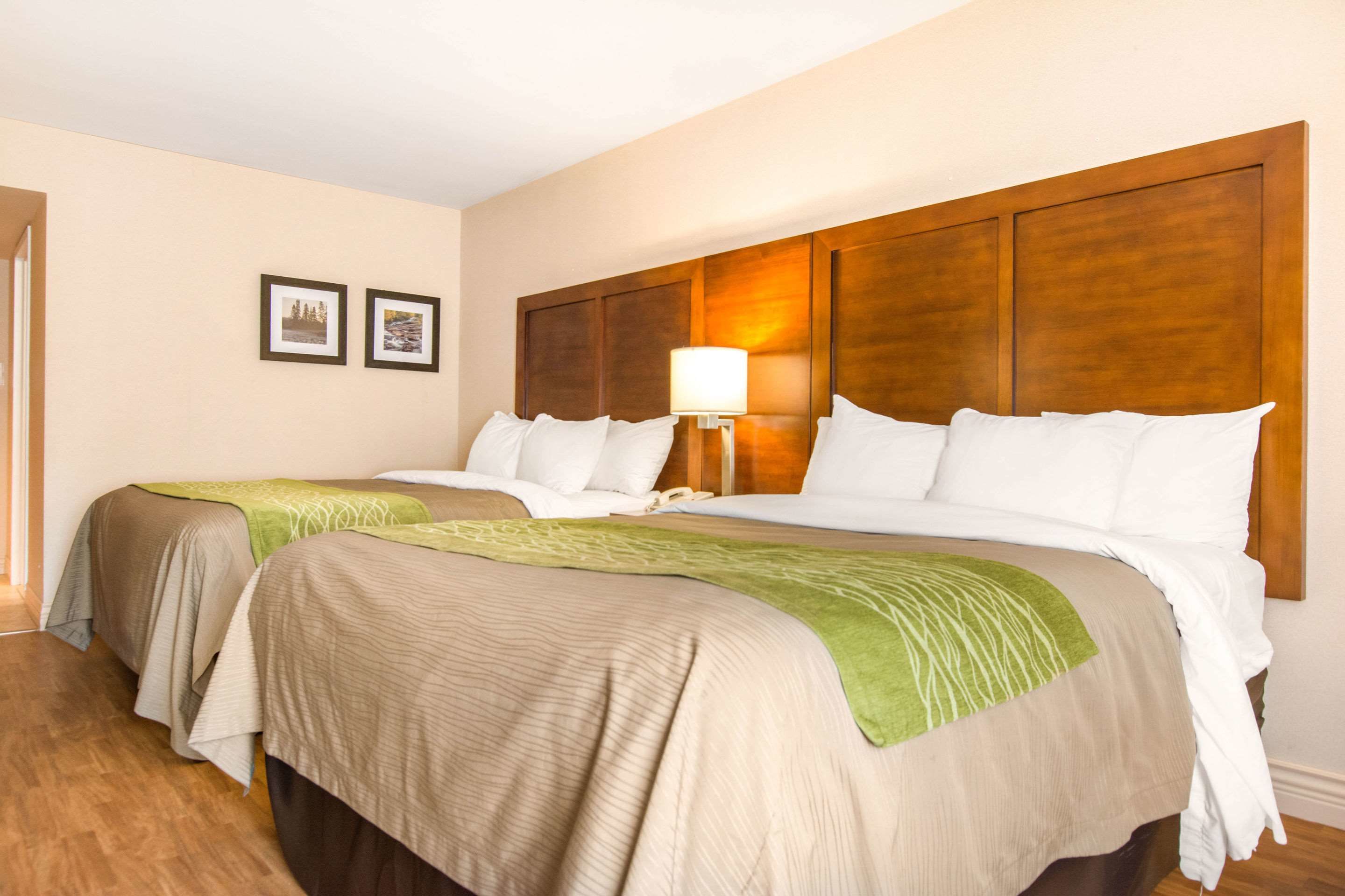 Une chambre d’hôtel avec deux lits, une tête de lit en bois, une table de chevet avec une lampe et deux tableaux encadrés au mur.