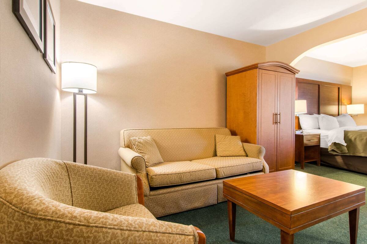 A hotel room with a sofa, armchair, wooden table, and a cabinet.