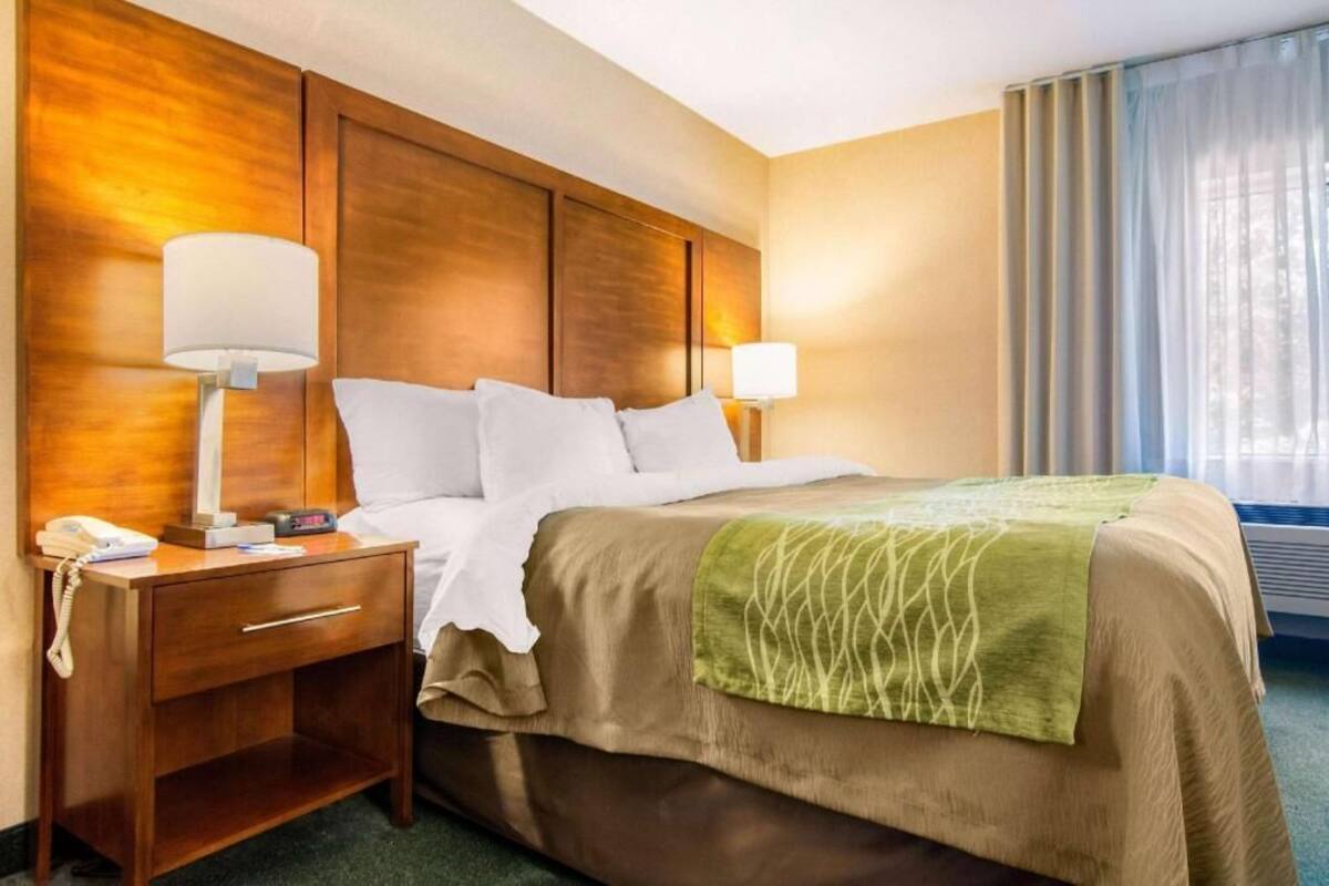 A hotel room with a wooden headboard, a bed with white linens, a green throw blanket, a bedside table with a lamp, and a telephone.