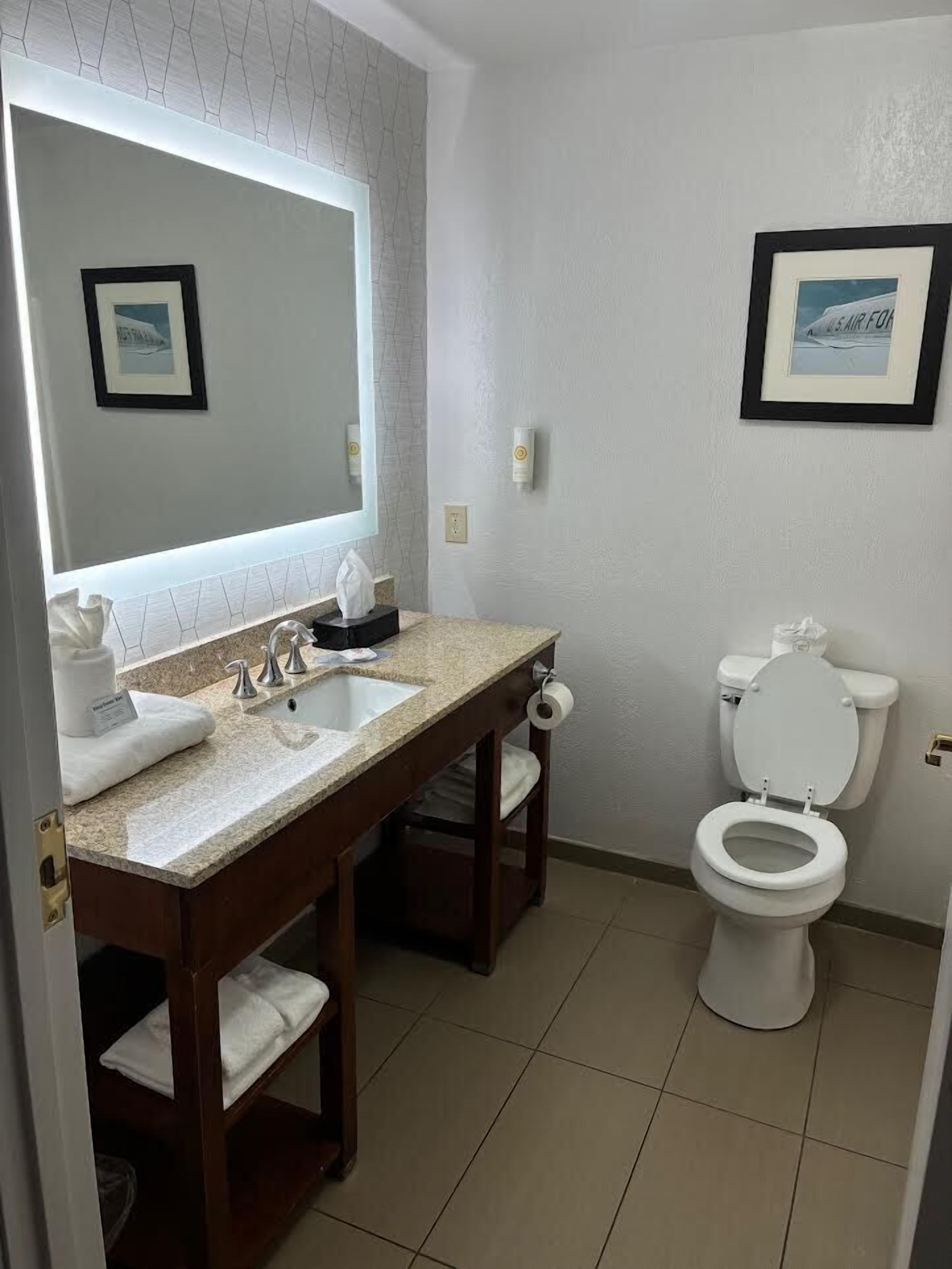A bathroom with a double sink vanity, a toilet, and a large mirror.