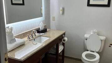 A bathroom with a double sink vanity, a toilet, and a large mirror.