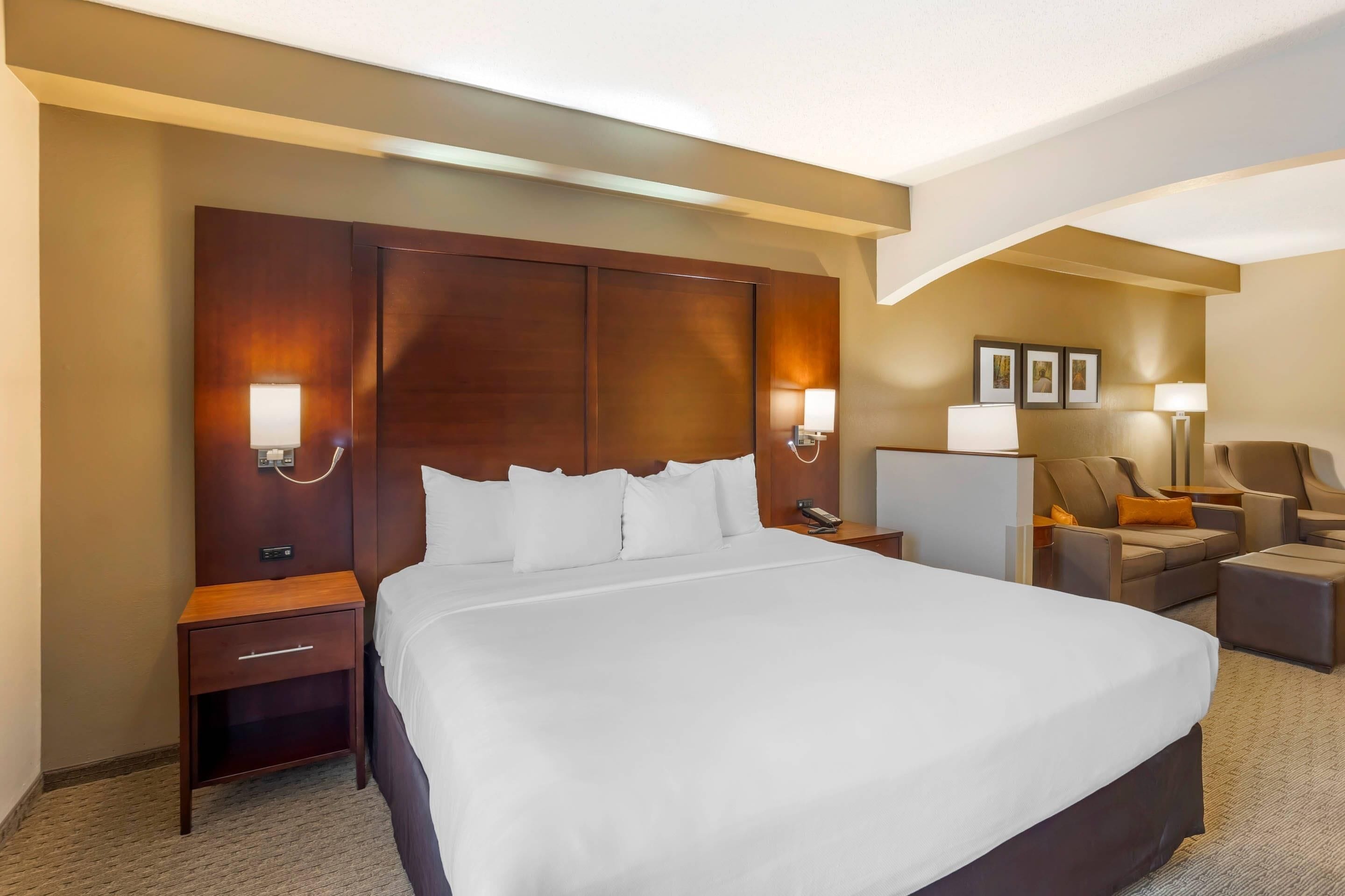 1 king bed with sofa bed, 1-person whirlpool in bath | premium bedding, pillow-top beds, in-room safe, desk