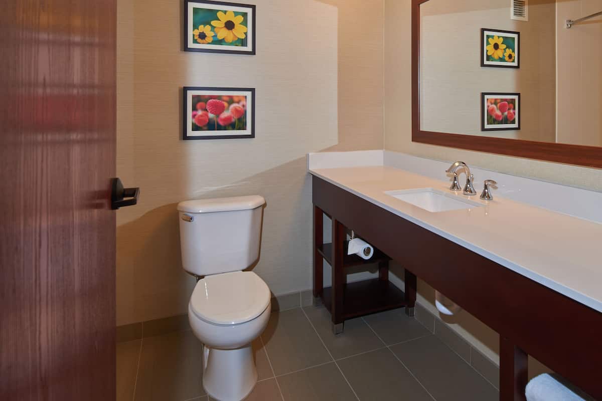 combined shower/bathtub, jetted bath, free toiletries, hair dryer