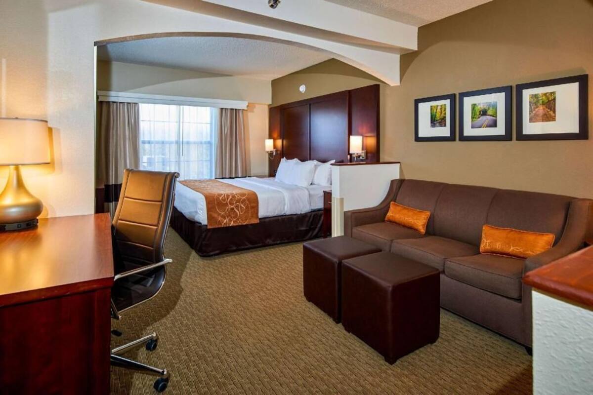 A hotel room with a bed, a sofa, a desk, and a chair.