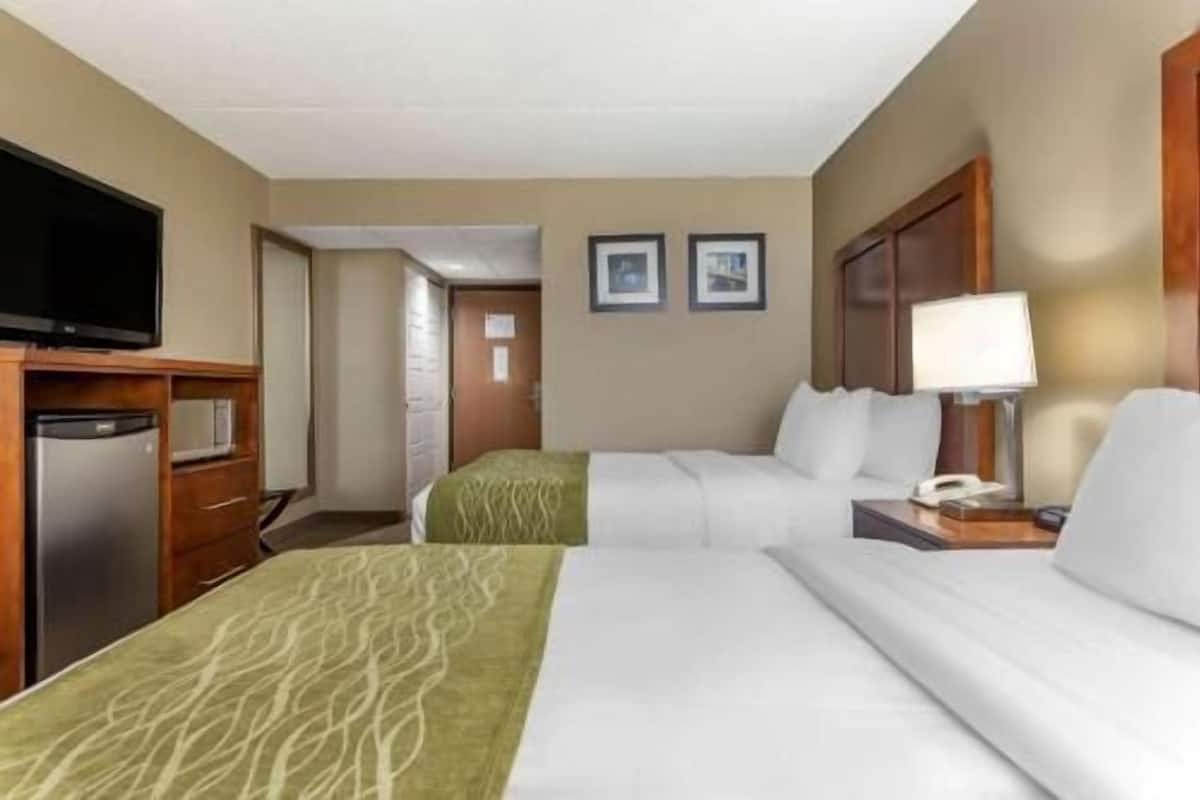 A hotel room with two beds, a television, a microwave, a refrigerator, and a bedside table with a lamp.