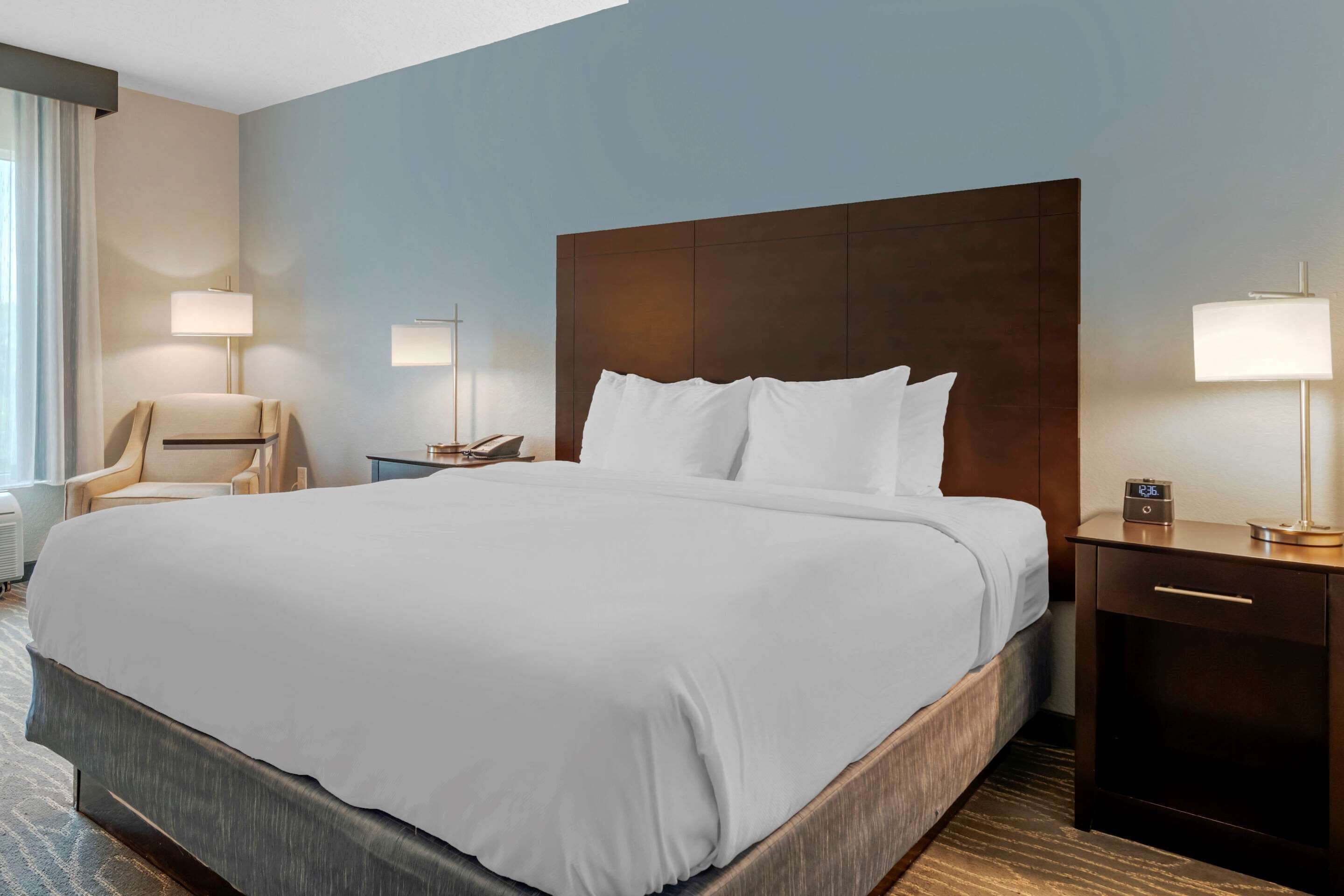 standard room, 1 king bed, non smoking | individually decorated, individually furnished, desk, laptop workspace