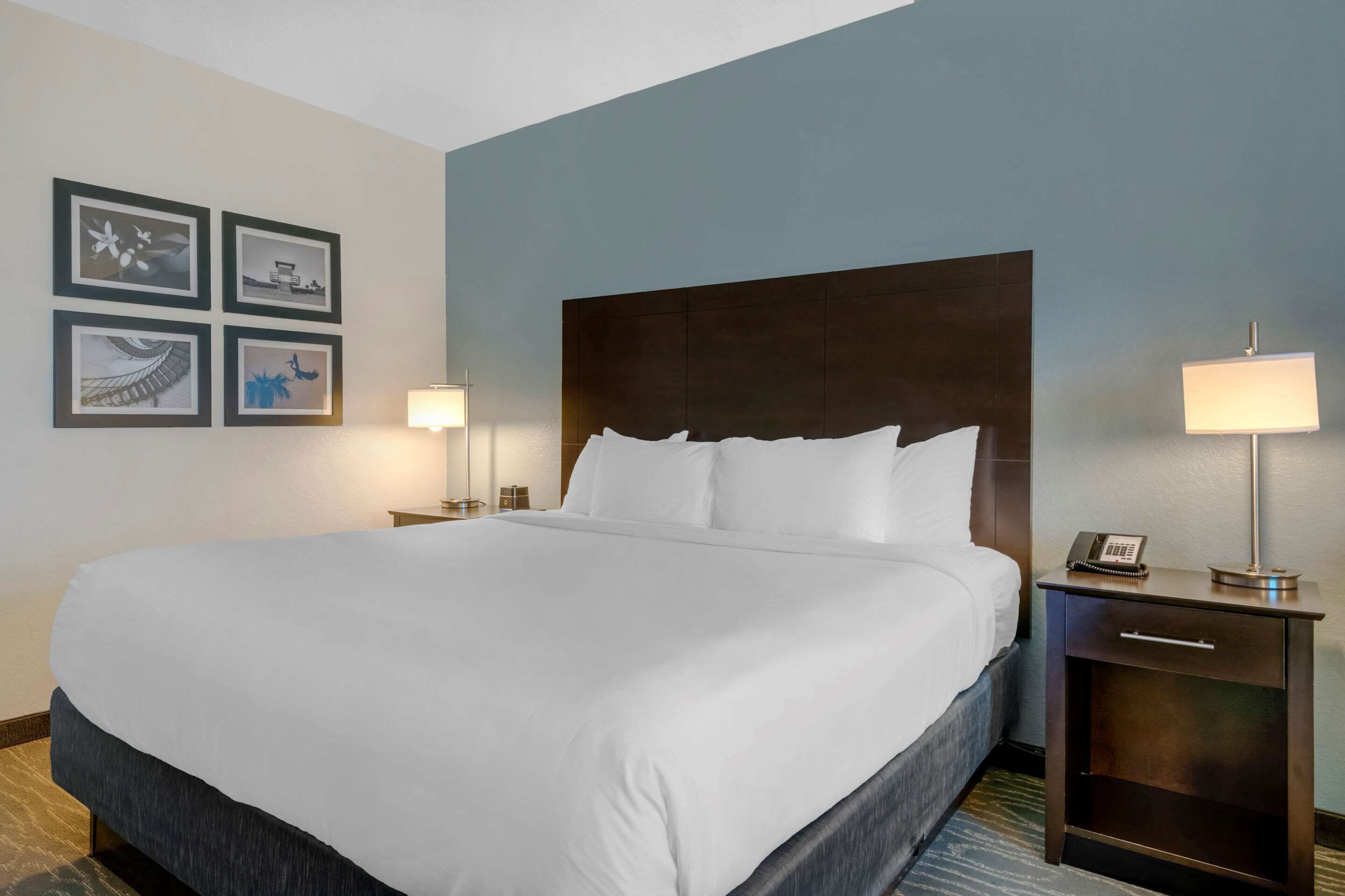 Una habitación de hotel con una cama grande, dos mesitas de noche con lámparas y cuatro cuadros enmarcados en la pared.