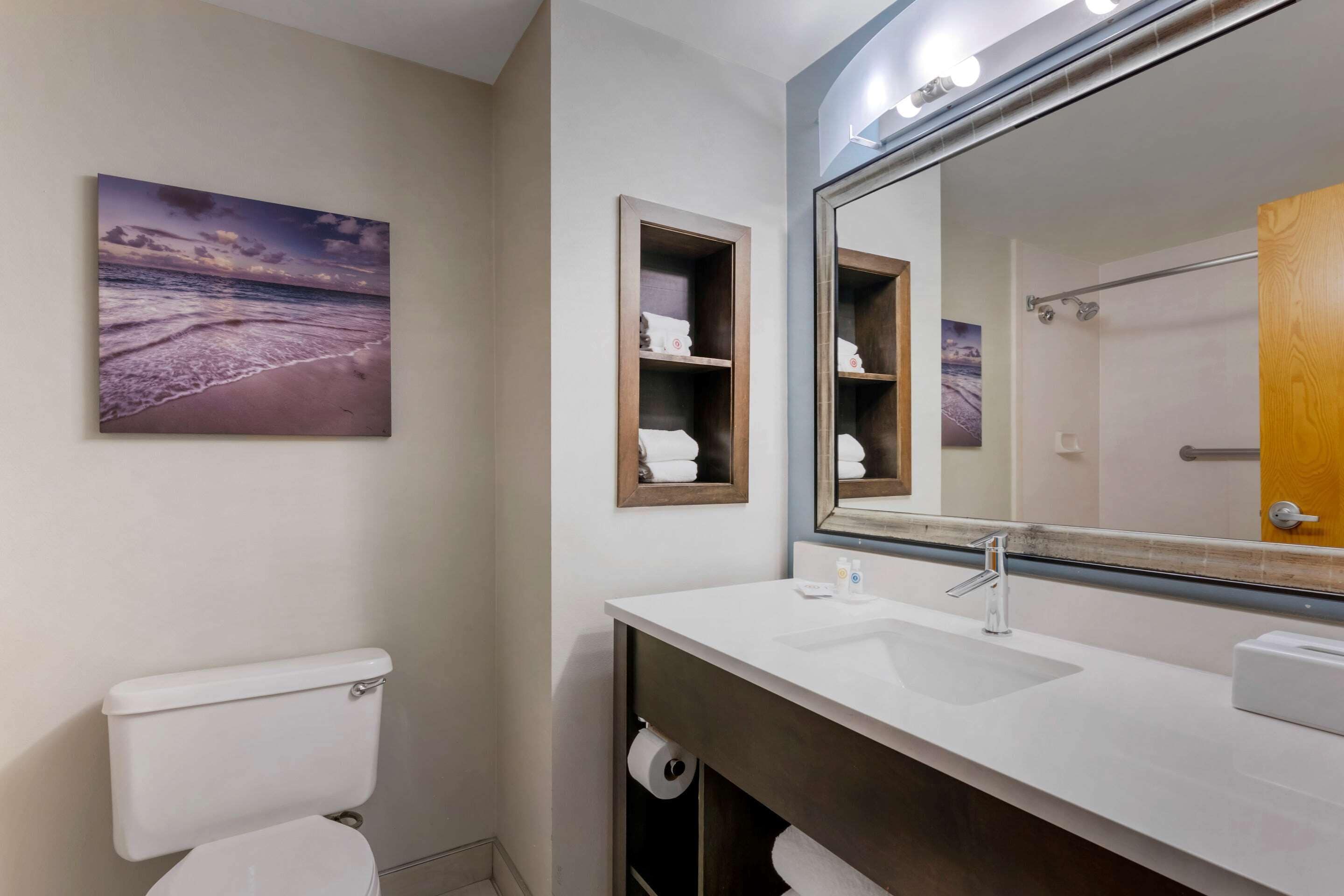 combined shower/bathtub, free toiletries, hair dryer, towels