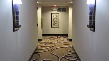 Un pasillo con alfombra estampada, luces fijadas a la pared y una obra de arte enmarcada.
