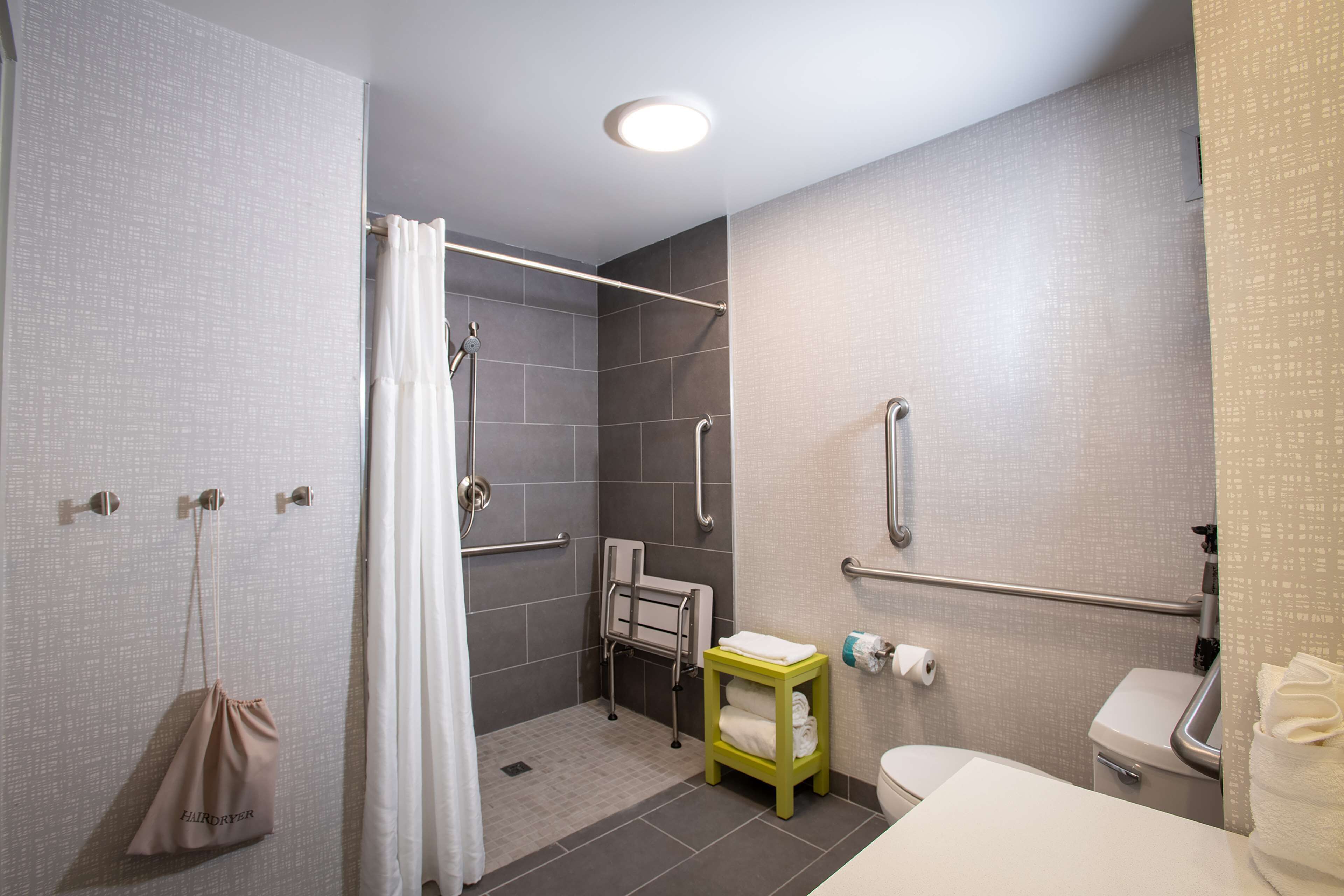 room, 1 king bed, accessible, non smoking | bathroom shower