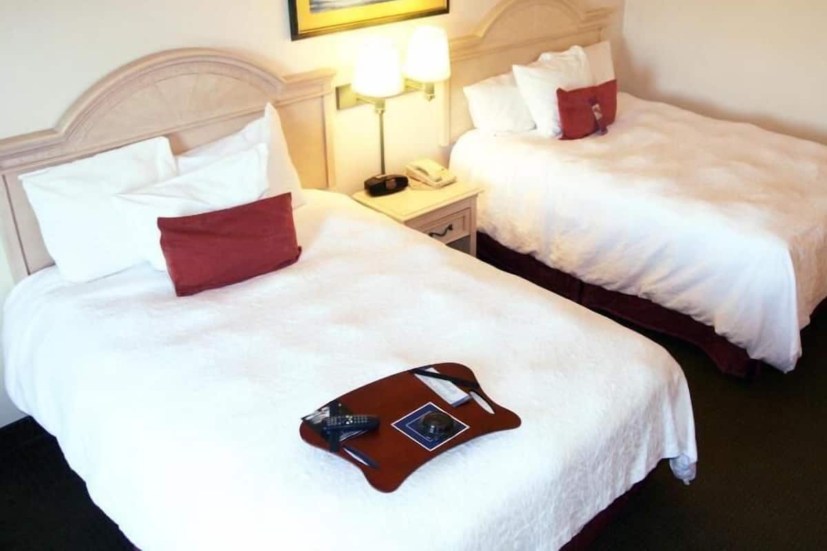 Iron/ironing board, free cribs/infant beds, rollaway beds, free WiFi