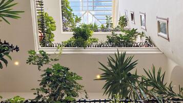 A multi-level atrium with a variety of indoor plants, a spiral staircase, and a large window providing a view of the building's exterior.