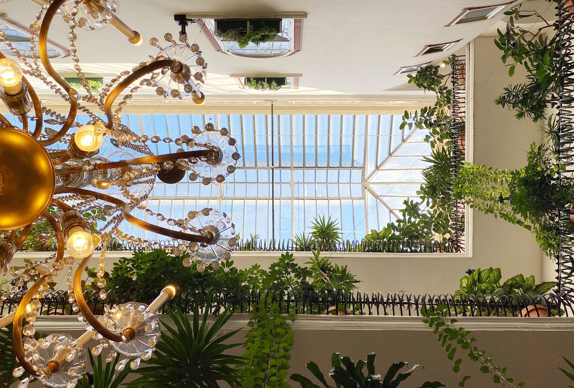 A spacious atrium with a large glass ceiling, allowing natural light to illuminate the area.