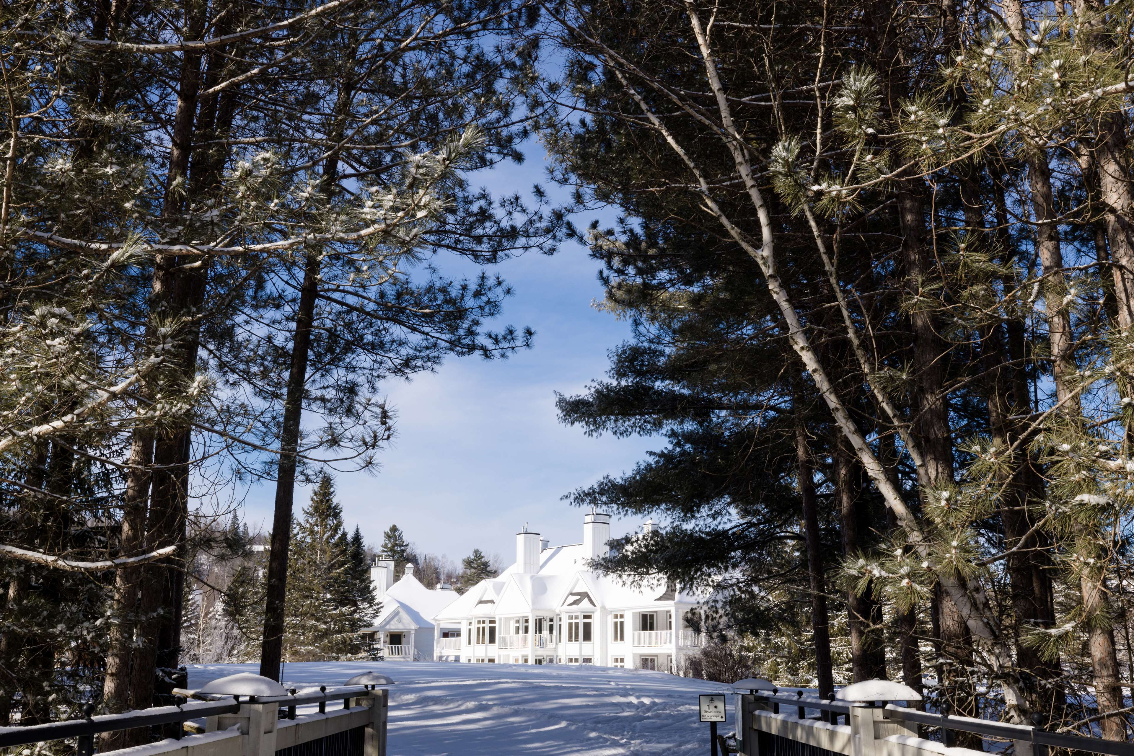 A large, white, two-story building surrounded by tall pine trees.