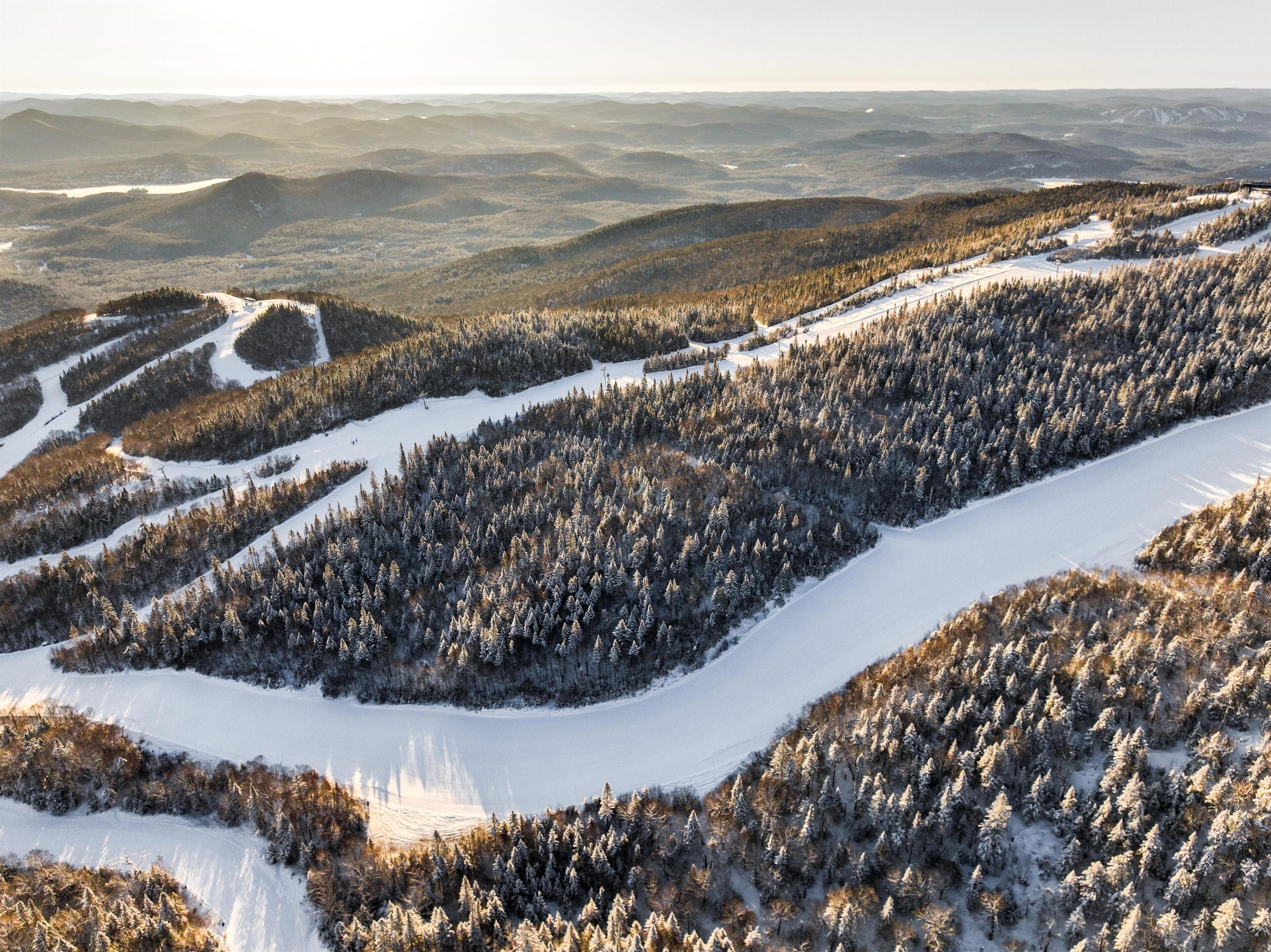 Une vue panoramique d’un paysage montagneux, avec des pentes enneigées et de vastes forêts.