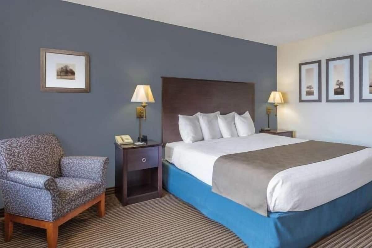 Desk, iron/ironing board, free cribs/infant beds, rollaway beds