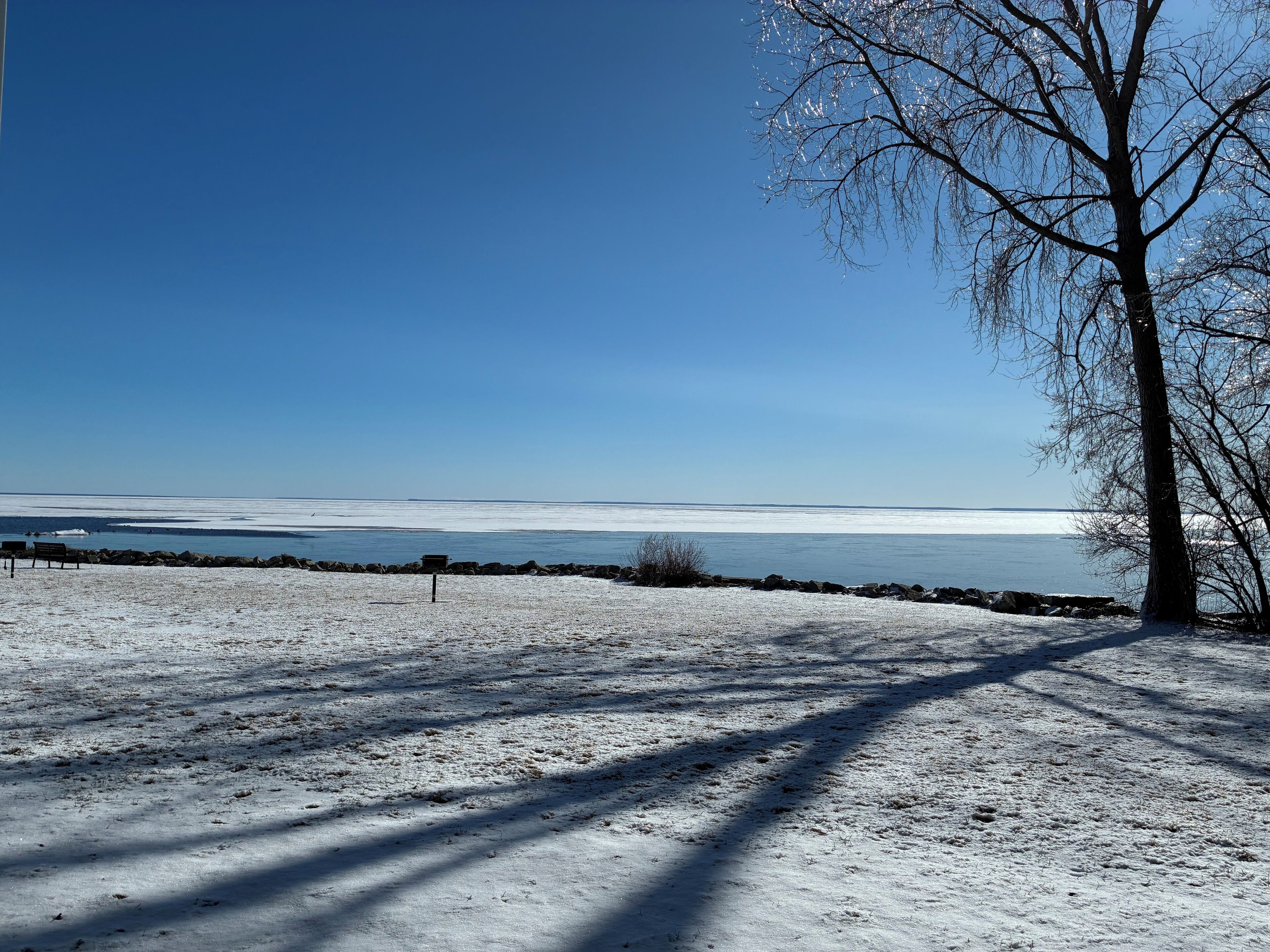 A snow-covered landscape with a clear sky, a tree, and a bench.