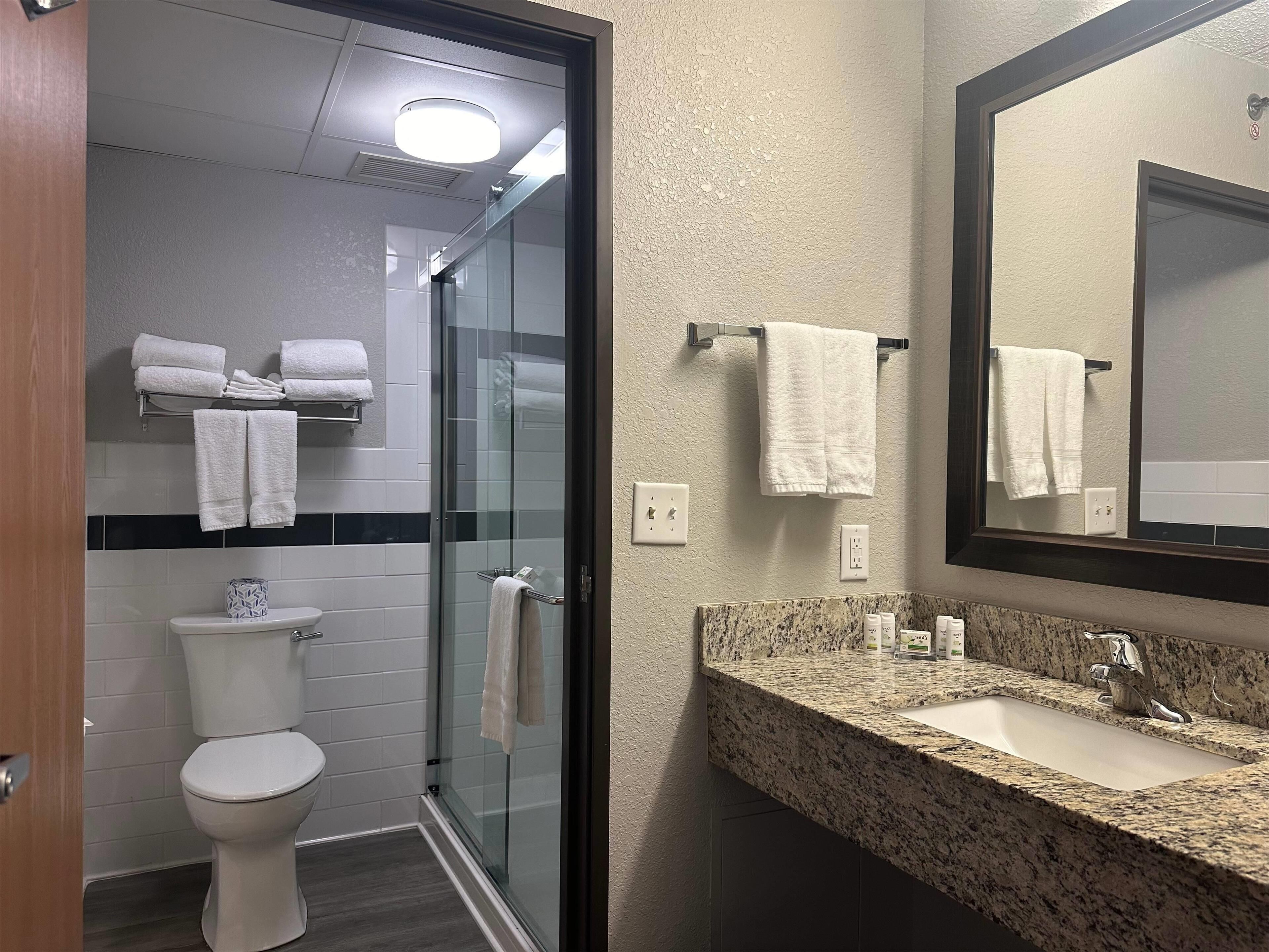 A modern bathroom with a glass shower enclosure, white toilet, and granite countertop sink.